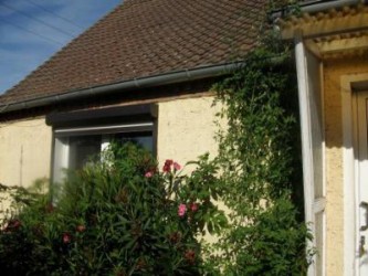 Golden Currant Tomate - Bei uns schauen die Tomaten schon bis in die Regenrinne